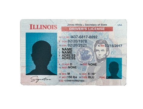 Free Printable Blank Illinois Drivers License Template